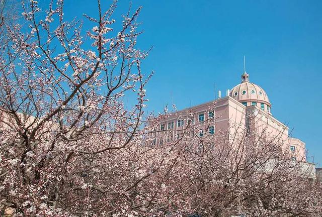 010682dd63314066ad0d23650b3b0510.jpg 010682dd63314066ad0d23650b3b0510.jpg