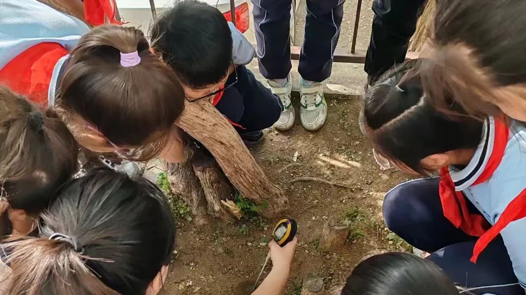 26f644cc6d5a442a94e4118ca65a1d29.jpg 26f644cc6d5a442a94e4118ca65a1d29.jpg