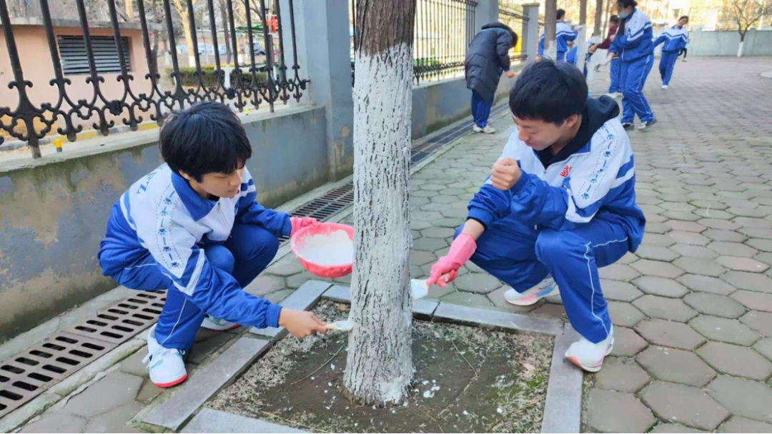 809507947cf647ba98538840de763f09.png 809507947cf647ba98538840de763f09.png