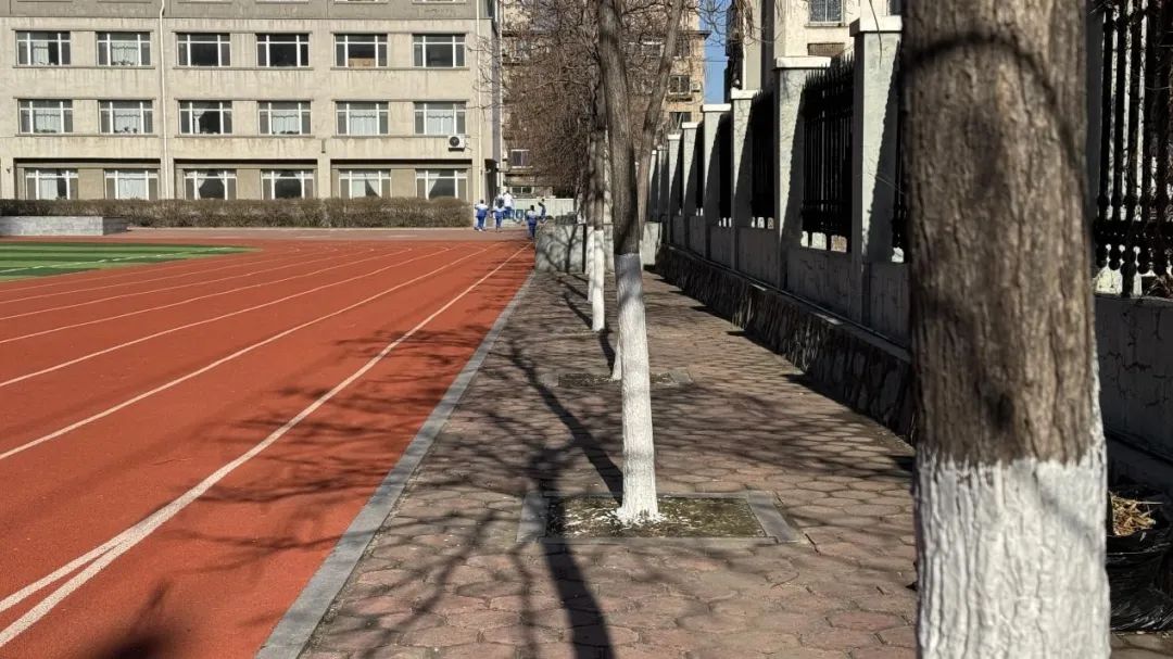 d17ddbdbc49242c9b2ea6c45af0e8d34.jpg d17ddbdbc49242c9b2ea6c45af0e8d34.jpg