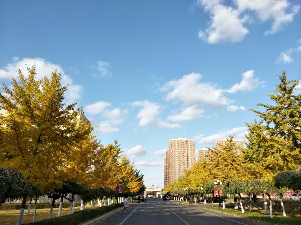 97758597e599460eb09b63d2a9de53f4.jpg 97758597e599460eb09b63d2a9de53f4.jpg