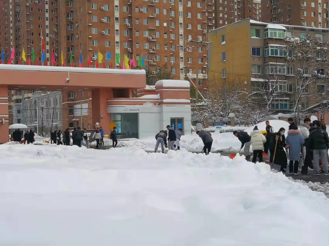 2947170f3271498a867fd77bbdd414b7.jpg 2947170f3271498a867fd77bbdd414b7.jpg