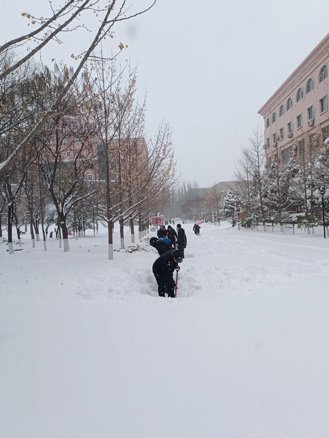 6d0f0695b7b84959ae86d6eb0d4de7a3.jpg 6d0f0695b7b84959ae86d6eb0d4de7a3.jpg