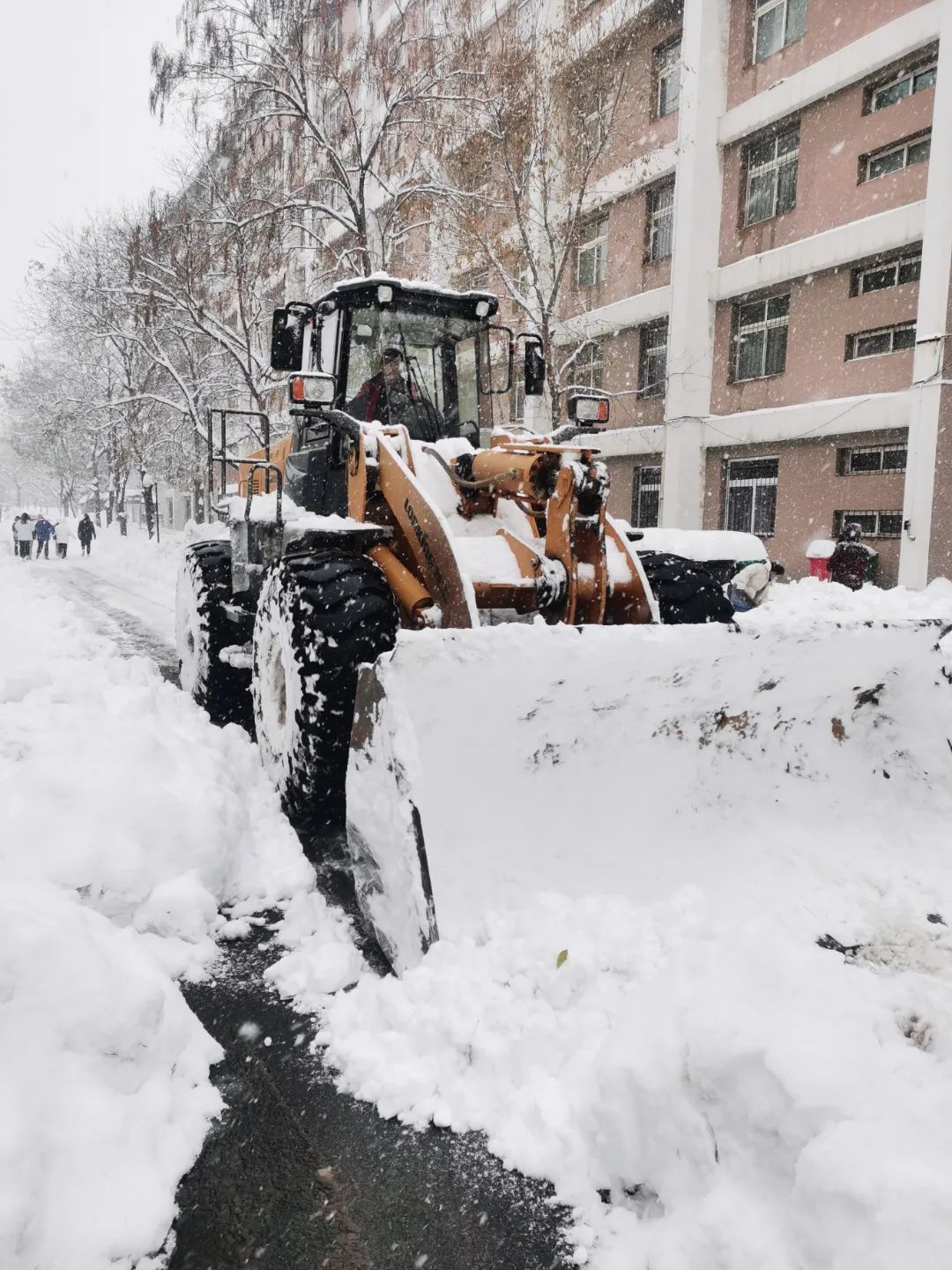 b1499cc2c3cc4669b02106e2b92ee3b9.jpg b1499cc2c3cc4669b02106e2b92ee3b9.jpg