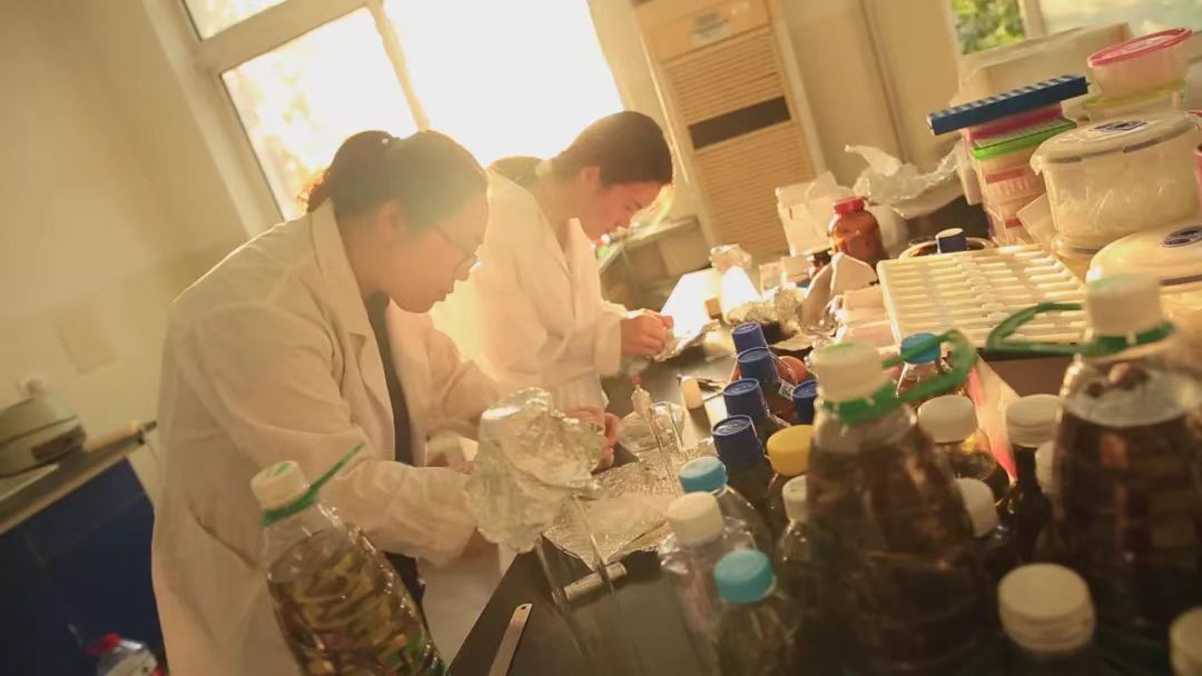 47644f8ed0414721b02bb610c570aabe.jpg 47644f8ed0414721b02bb610c570aabe.jpg