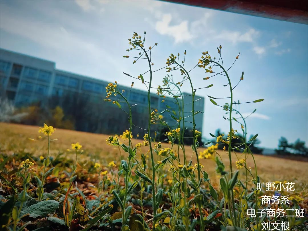 07053c0835a942cd8e4a643f845c1bea.jpg 07053c0835a942cd8e4a643f845c1bea.jpg