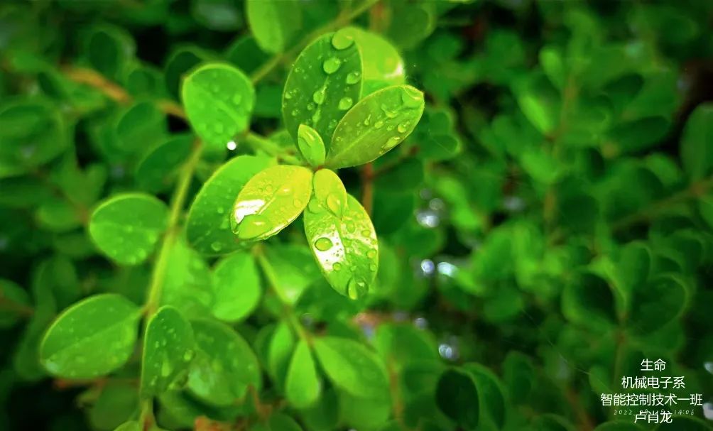 1b7c5dd73dcf4c898ebe1b0ae7d8adbc.jpg 1b7c5dd73dcf4c898ebe1b0ae7d8adbc.jpg