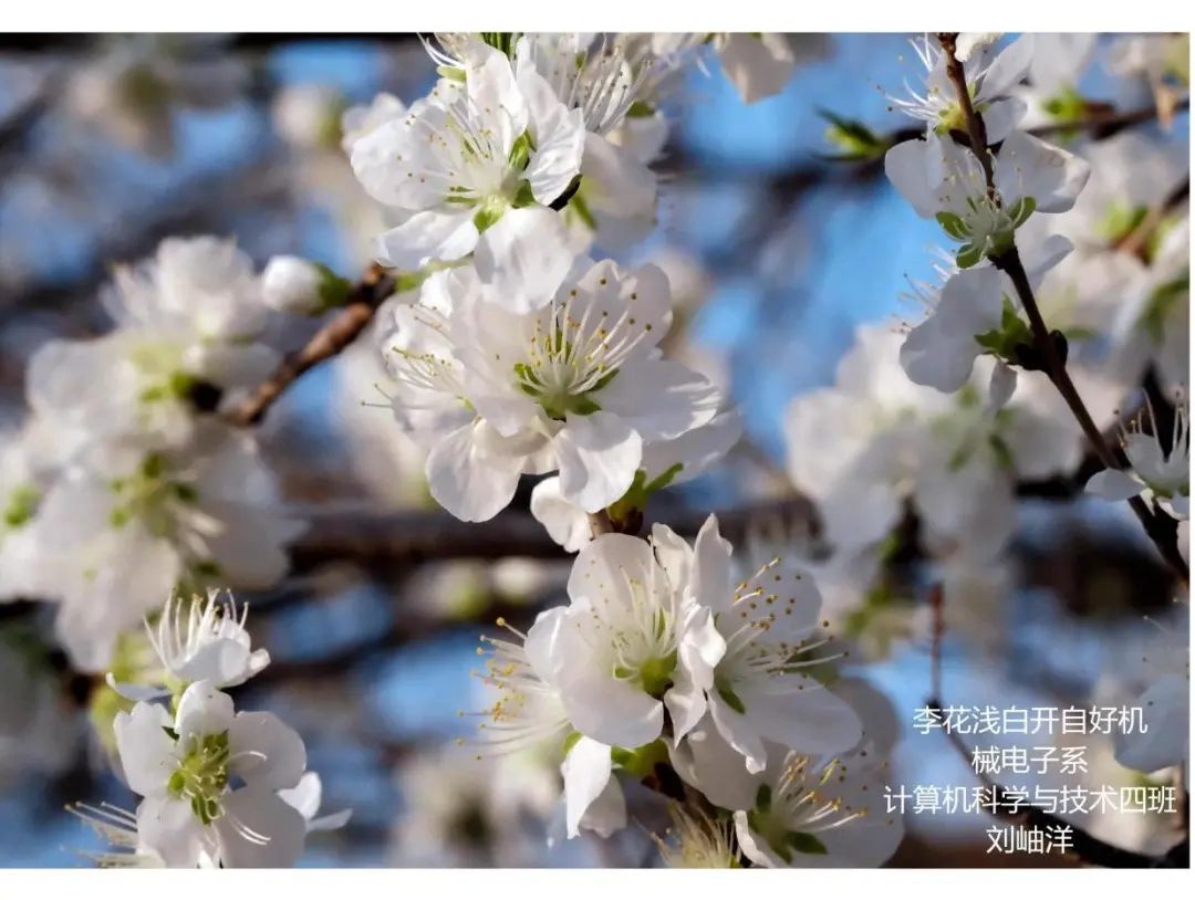 1ce3ad1813034915bcb7905259e83fe9.jpg 1ce3ad1813034915bcb7905259e83fe9.jpg