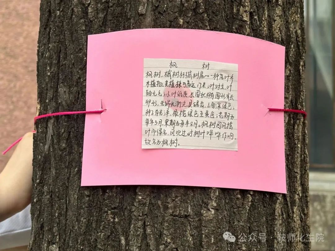 3f523ef672254c6296e9ee912cc8b219.jpg 3f523ef672254c6296e9ee912cc8b219.jpg