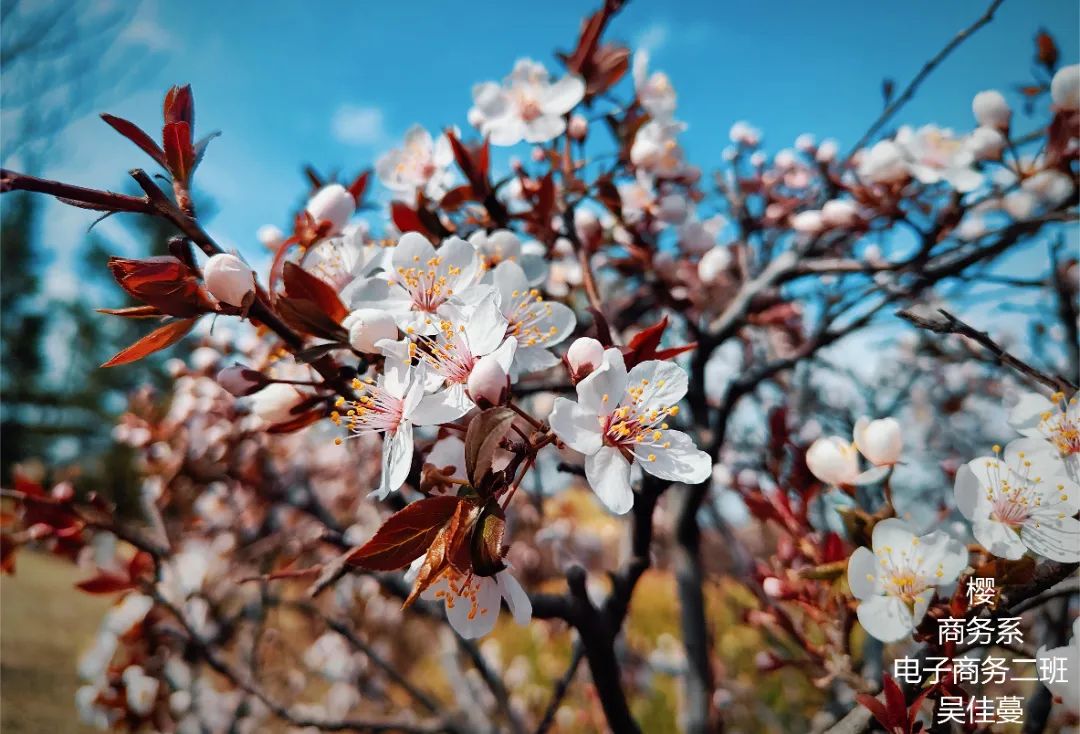 5b74e6b38b6d4998a0291a162c16ba3b.jpg 5b74e6b38b6d4998a0291a162c16ba3b.jpg