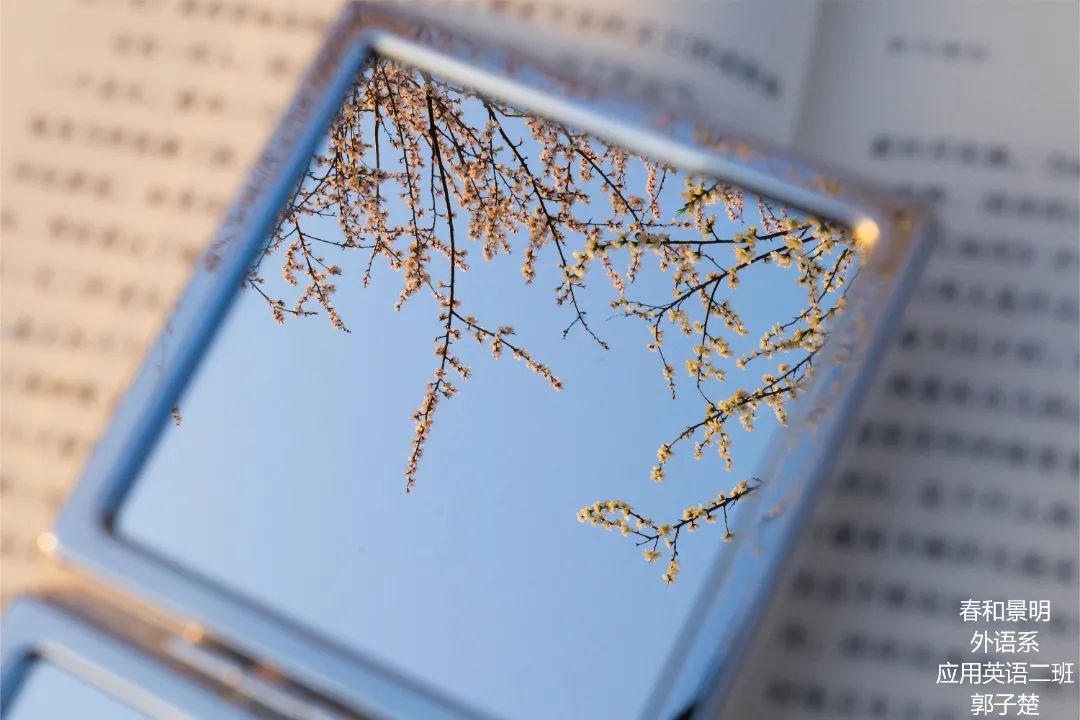 8e4b1610c9c640939434f2141e5215a8.jpg 8e4b1610c9c640939434f2141e5215a8.jpg