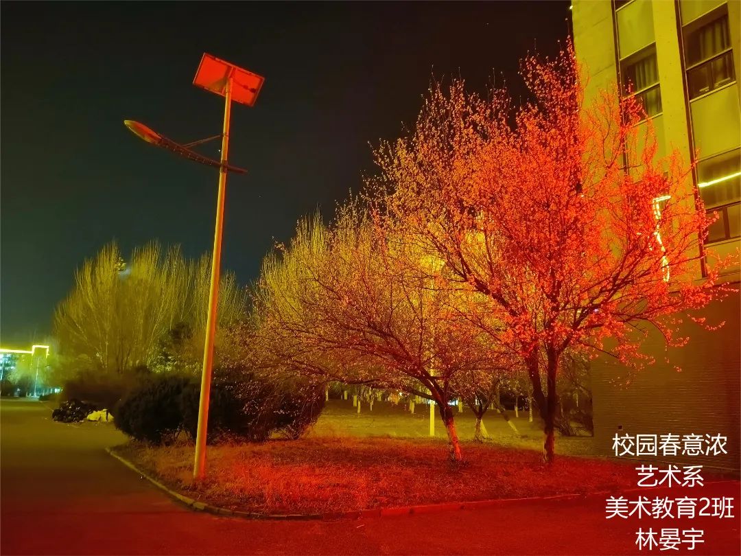 bca7183663fa4fed8bfd812afa2027e0.jpg bca7183663fa4fed8bfd812afa2027e0.jpg