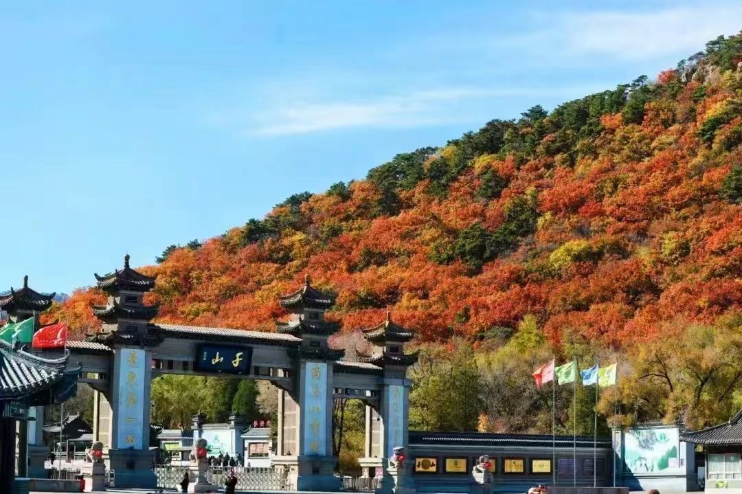 194089cb156a4495a708d12f2fbd18d9.jpg 194089cb156a4495a708d12f2fbd18d9.jpg